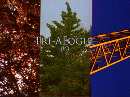 Tri-Alogue #2 by Caryn Cline, Linda Fenstermaker & Reed O'Beirne